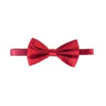 https://potencianoshop.com/